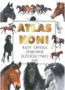 Atlas koni rasy opieka zdrowie jedziectwo