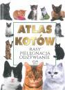 Atlas kotw rasy pielgnacja odywianie