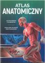 Atlas anatomiczny mk