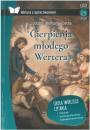 Cierpienia modego Wertera tw z opracowaniem