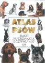 Atlas psw rasy pielgnacja odywianie