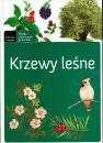 MOP Krzewy lene