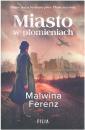 Miasto w pomieniach