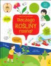 Dlaczego rośliny rosną?